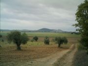 Campo de Esquivias. Esquivias, Toledo